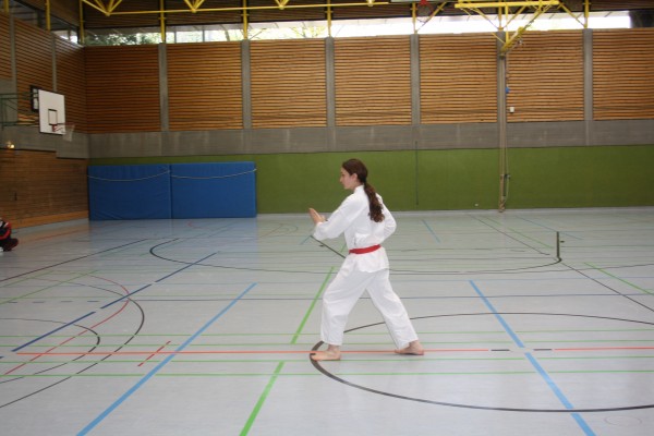 IMG 5582